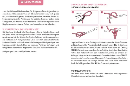 55 x häkeln - Mini-Amigurumis Schlüsselanhänger: Dein Kartenset mit niedlichen Tieren & mehr*Edition Michael Fischer Outlet