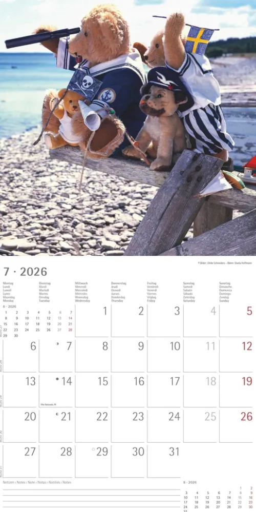 Alpha Edition - Teddy Kalender 2026 - Bildkalender & Wandkalender im Broschürenformat 30×30 cm, aufgeklappt 30×60 cm mit 12 liebevollen Teddy-Motiven & Poster, FSC-zertifiziert*teNeues Calendars & Stationery GmbH & Co. KG Sale
