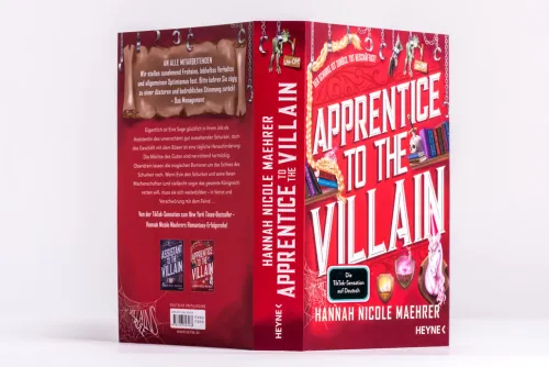 Heyne Taschenbuch Fantasy & Science Fiction*Apprentice to the Villain