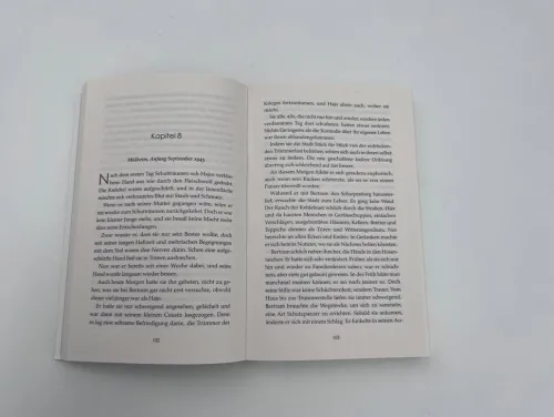 Piper Verlag GmbH Schicksalsromane-Aufbruch ins Morgen