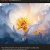 Aufgeblüht - KUNTH Postkartenkalender 2026*Kunth GmbH Kalender Sale