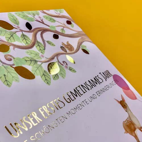 Babyalbum - UNSER ERSTES GEMEINSAMES JAHR (rosé)*PAPERISH Verlag