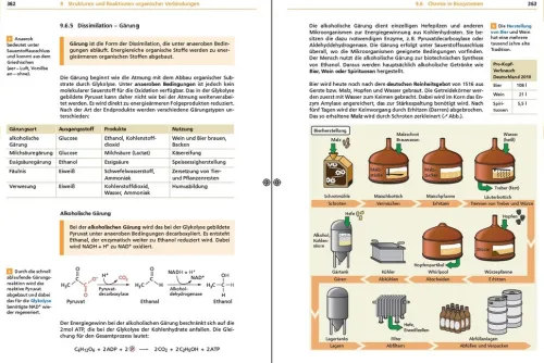 Bibliograph. Instit. GmbH Abi Trainer·Chemie*Basiswissen Schule - Chemie Abi