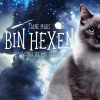 Drachenmond Verlag Romane & Erzählungen|Fantasy*Bin hexen