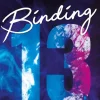 Adrian & Wimmelbuch DIG Romane & Erzählungen*Binding 13