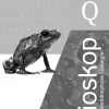 bioskop SII. Qualifikationsphase: Lösungen. Ausgabe für Niedersachsen*Westermann Schulbuch New