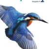 Cornelsen Verlag GmbH Nach Fächern·Biologie-Biosphäre Sekundarstufe I - Ausgabe A Band 1 - Schülerbuch