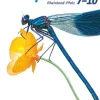 Biosphäre Sekundarstufe I 7.-10. Schuljahr. Schülerbuch Gymnasium Rheinland-Pfalz*Cornelsen Verlag GmbH Online