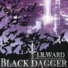 Heyne Taschenbuch Vampirromane-Black Dagger 04. Bruderkrieg
