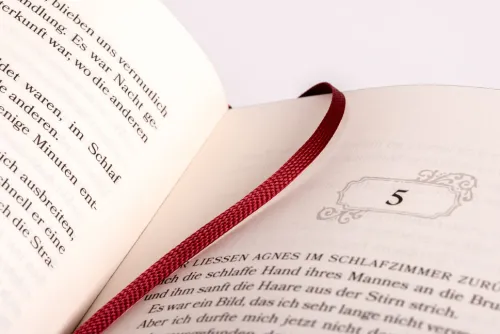 Heyne Verlag Vampirromane-Blood and Ash - Liebe kennt keine Grenzen