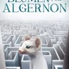 Klett-Cotta Verlag Fantasy & Science Fiction*Blumen für Algernon