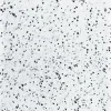 Steidl GmbH & Co.OHG Italienische Bücher-By Means of the Sun