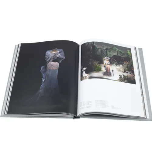 Abrams & Chronicle Books Mode & Design-Christian Dior