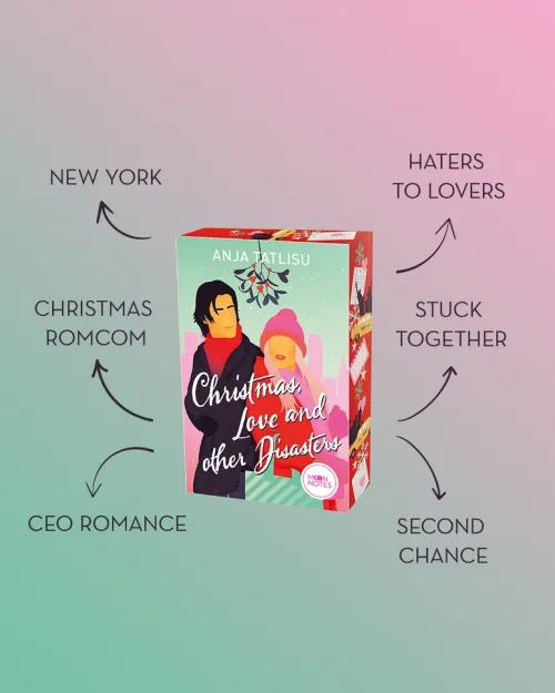 moon notes Romantic Comedy*Christmas, Love and other Disasters