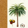 Coppenrath Verlag Notizbücher & -Blöcke-Coppenrath - Sammlung Augustina - Notizhefte DIN A6, sort.