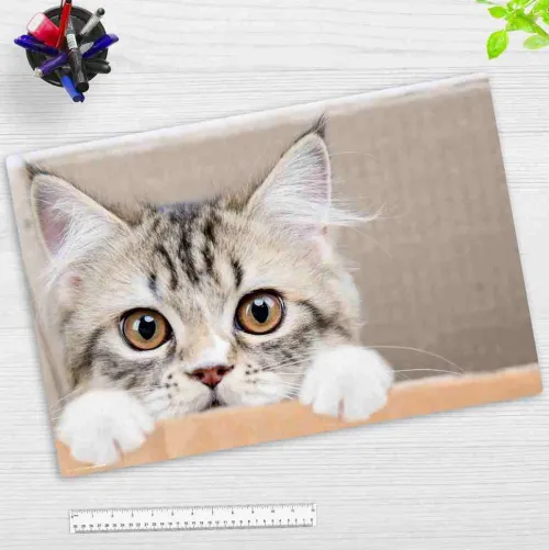 Cover-your-desk Schreibtischunterlagen-Schreibtischunterlage für Kinder und Erwachsene Maine Coon Kätzchen, aus hochwertigem Vinyl , 60 x 40 cm