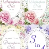 Lübbe Exklusiv Premieren Nach Ländern|Liebesromane*Daringham Hall - Die vollständige Trilogie (EXKLUSIV BEI UNS!)