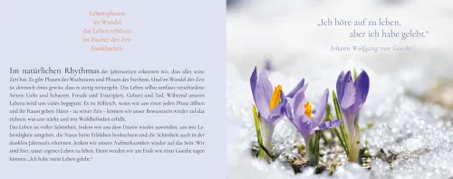 Herder Verlag GmbH Trauer*Das Funkeln der Sterne