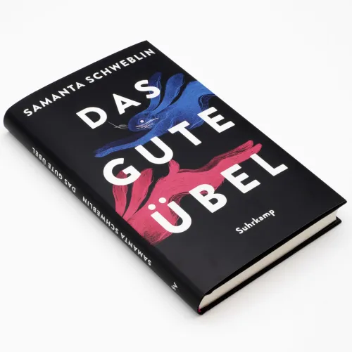 Suhrkamp Verlag Horror Gegenwart*Das gute Übel