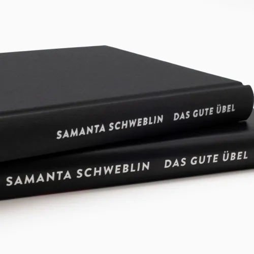 Suhrkamp Verlag Horror Gegenwart*Das gute Übel