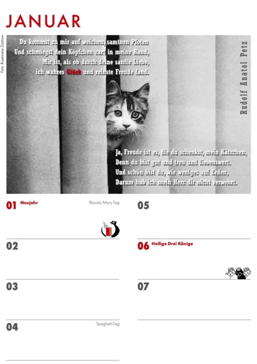Das Jahr mit Katzen*Schoeffling + Co. Hot