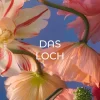 Rowohlt Verlag GmbH Asian Fantasy*Das Loch
