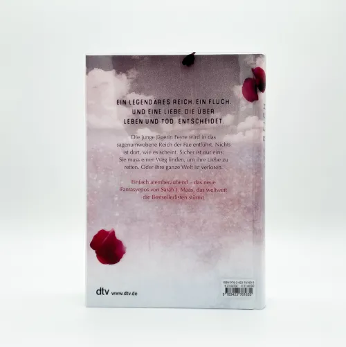 dtv Verlagsgesellschaft Liebesromane|Fantasy-Das Reich der sieben Höfe 01 - Dornen und Rosen