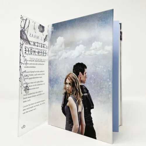 dtv Verlagsgesellschaft Liebesromane|Fantasy*Das Reich der sieben Höfe 4 - Frost und Mondlicht