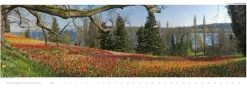 Der Bodensee*Edition Panorama GmbH Hot