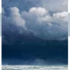 Der Schimmelreiter*FISCHER E-Books Best