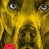 Reprodukt Graphic Novels|Comics*Der Spalt