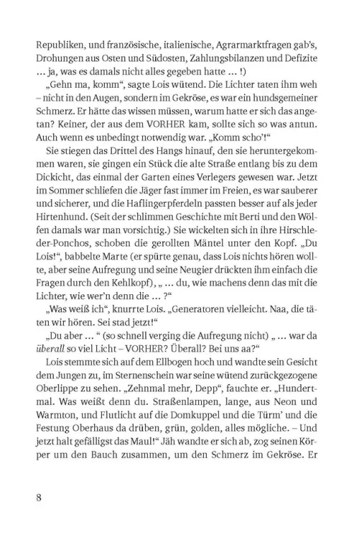 Südost-Verlag Nahe Zukunft*Der Untergang der Stadt Passau