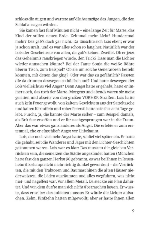 Südost-Verlag Nahe Zukunft*Der Untergang der Stadt Passau