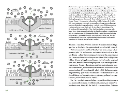Bertelsmann Verlag Sachbücher*Der Vitamin- und Nährstoffkompass