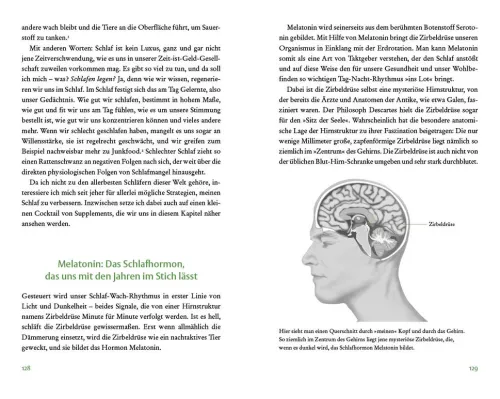 Bertelsmann Verlag Sachbücher*Der Vitamin- und Nährstoffkompass