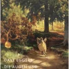 Die Augen und das Unmögliche*Kampa Verlag Discount