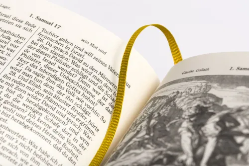 Anaconda Verlag Religion & Philosophie|Theologie*Die Bibel - Altes und Neues Testament (Cabra-Leder-Ausgabe)