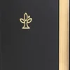 Katholisches Bibelwerk Theologie*Die Bibel. Leder, Großdruck. Mit Familienchronik.