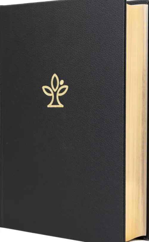 Katholisches Bibelwerk Theologie*Die Bibel. Leder, Großdruck. Mit Familienchronik.