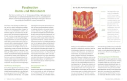 ZS Verlag Gesundheit*Die Ernährungs-Docs - Gesund abnehmen mit der Darm-fit-Formel