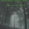 Die Grüne Chaos Hexe*BoD - Books on Demand Clearance