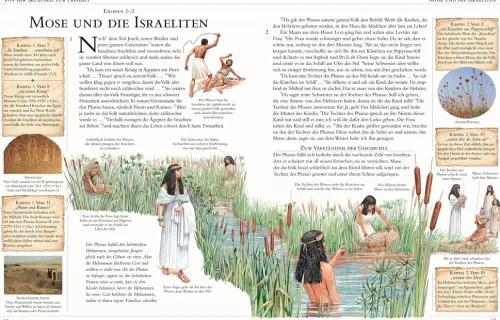 Kinder Dorling Kindersley Verlag 10-12 Jahre-Die große illustrierte Kinderbibel