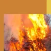 BoD - Books on Demand Zeitreisen-Die Herrin des Feuers