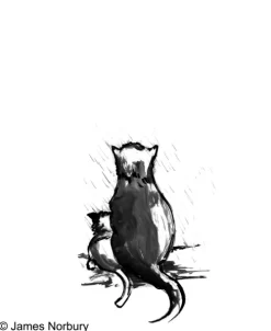Goldmann Verlag Märchen & Sagen*Die Katze, die nach Weisheit sucht