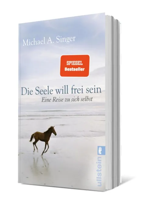 Die Seele will frei sein*Ullstein Taschenbuchvlg. Clearance