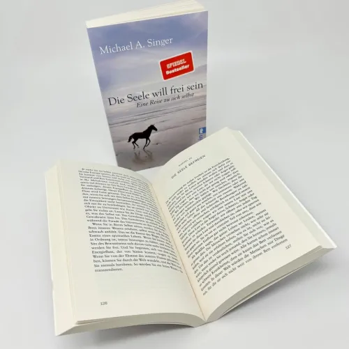 Die Seele will frei sein*Ullstein Taschenbuchvlg. Clearance