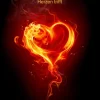 BoD - Books on Demand Literaturwissenschaft-Dualseelen & die Liebe