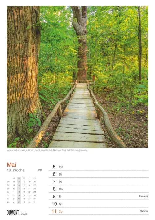 DuMont Kalenderverlag Wochenkalender-DUMONT - In Deutschland unterwegs 2026 - Wochenkalender 21 x 30 cm, Wandkalender mit 53 Reisezielen, für Natur- und Kulturliebhaber