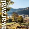 Mairdumont GmbH & Co. KG Reiseführer*DUMONT Reise-Taschenbuch E-Book Schwarzwald