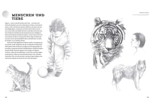 Bassermann, Edition Artbooks & Handbücher*Einfach zeichnen! Step-by-step-Anleitungen für Anfänger
